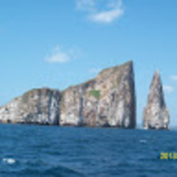 Meet your Posher, Anita - Picture 1 of 1